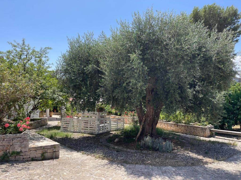 Il Giardino Degli Antichi Sapori Villa Челие Месапика Екстериор снимка