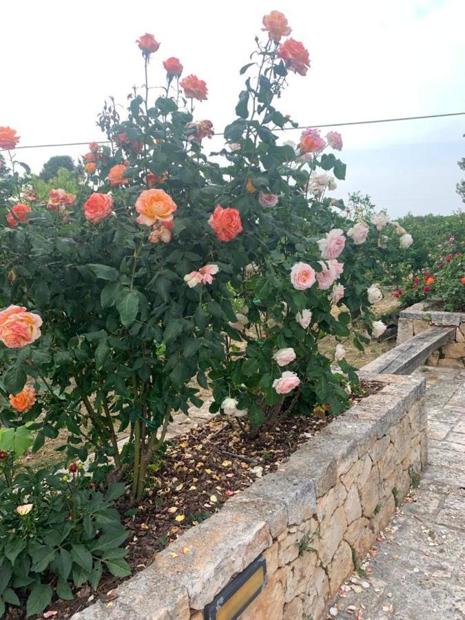 Il Giardino Degli Antichi Sapori Villa Челие Месапика Екстериор снимка